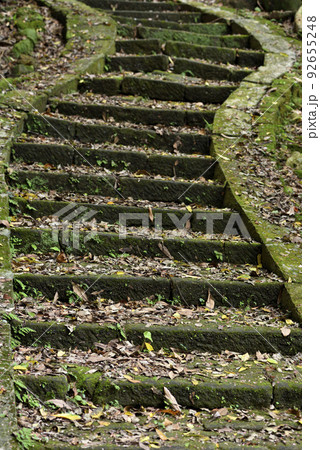 景色 風景 自然 92655248