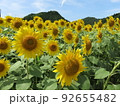 夏の思い出 92655482