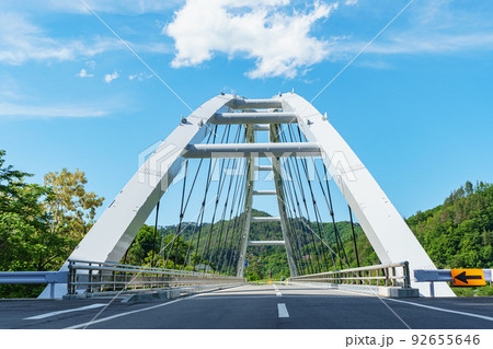 5月下旬の山清路大橋 5月下旬の山清路大橋 92655646