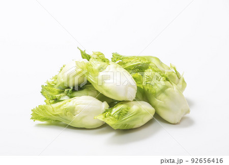 子宝菜　子持ち高菜　つぼみ菜　葉物野菜　健康野菜　冬野菜　採れて新鮮野菜　 92656416