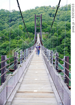 大阪　交野市　ほしだ園地　星のブランコ（北東側から、夏） 92658433