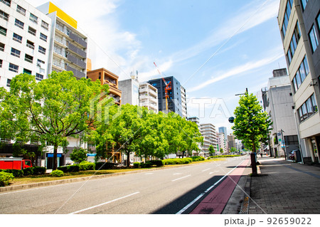 田中町交差点付近から広島駅方面を展望しています。田中町のビル群が見えます。駅前通りの緑があふれます。 92659022