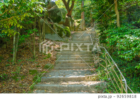 千光寺山 文学の細道 千光寺山 文学の細道 92659818