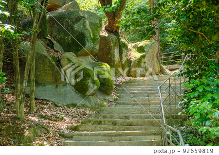 千光寺山 文学の細道 千光寺山 文学の細道 92659819