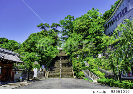 東京都　池上本門寺（いけがみほんもんじ）　表参道96段の石段坂 92661016