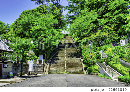 東京都　池上本門寺（いけがみほんもんじ）　表参道96段の石段坂 92661019