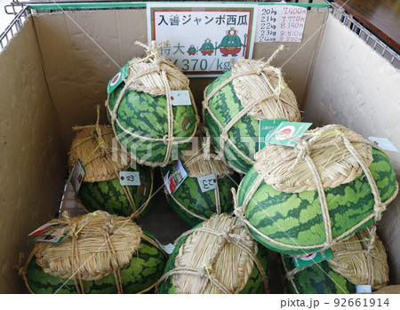 入善ジャンボスイカ 92661914