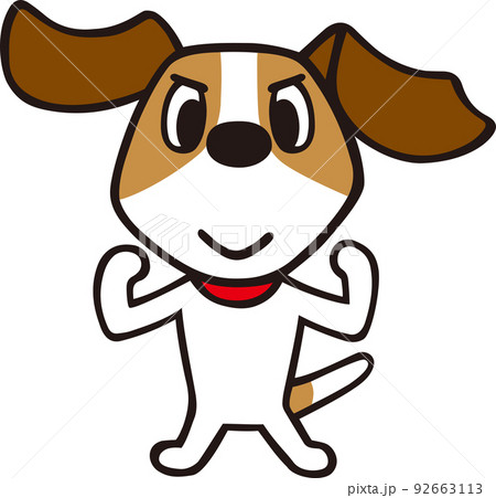 ジャックラッセルテリア犬 ガッツポーズ ジャックラッセルテリア犬 ガッツポーズ 92663113