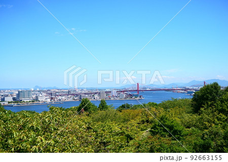 夏井ヶ浜はまゆう自生地 92663155