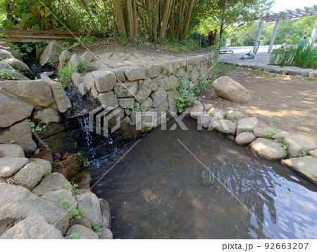 公園内を流れる小川 92663207