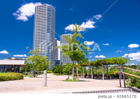 《東京都》二子玉川の街並み・タワーマンションの風景 《東京都》二子玉川の街並み・タワーマンションの風景 92665270