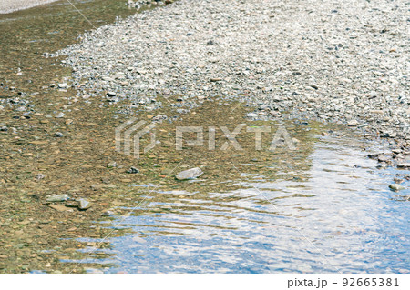 川遊びできる浅瀬 92665381