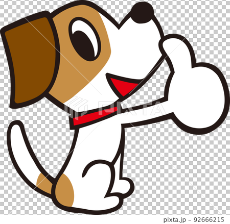 Jack Russell Terrier dog GOOD pose 92666215