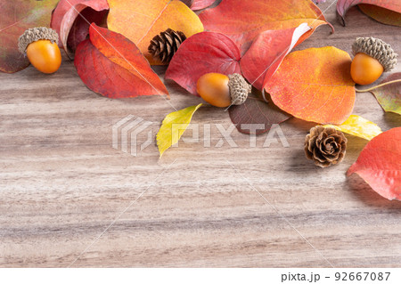 落ち葉とどんぐりの秋イメージのフレーム 92667087