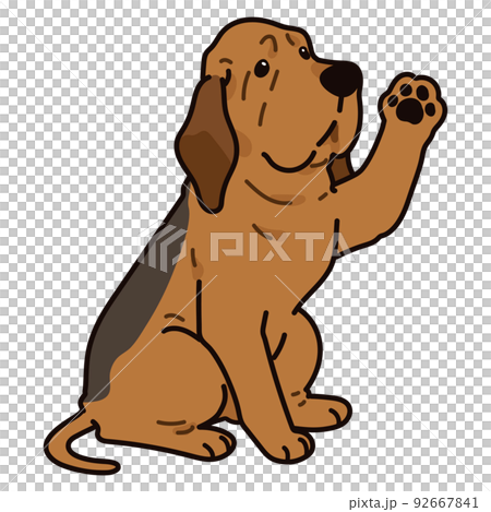 bloodhound dog clipart transparent