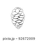 Line illustration of cone. Christmas decoration element for coloring, label and packaging. Conifer tree fruit. 92672009