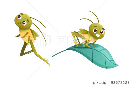 Cute Little Grasshopper Character Sitting on Green Leaf and Jumping Vector Set 92672528