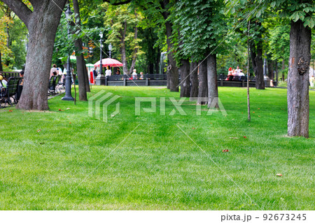 Green manicured lawn on a blurred background of a city park and people resting. 92673245