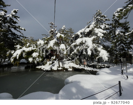 木に積もった雪と池の水墨画のような風景 【長浜八幡宮】 木に積もった雪と池の水墨画のような風景 【長浜八幡宮】 92677040