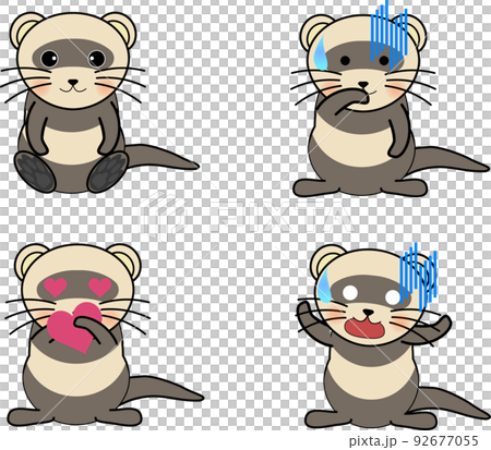 可愛的雪貂面部表情集 1 可愛的雪貂面部表情集 1 92677055