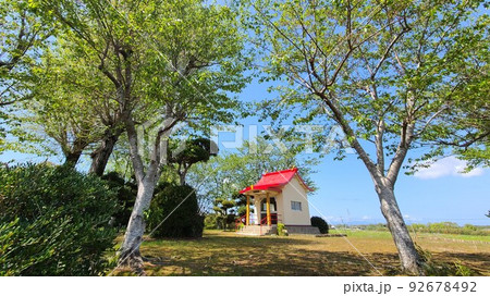 若宮神社 (出水市 高尾野町 中里) 若宮神社 (出水市 高尾野町 中里) 92678492
