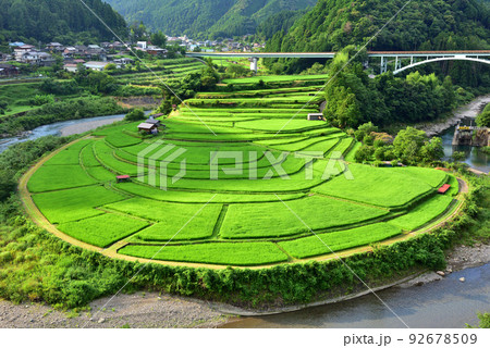 夏のあらぎ島 92678509