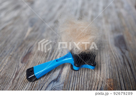 Man grooming cat with special gloves. Pet care. 92679289