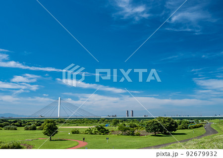 夏の淀川河川公園鳥飼上地区風景 92679932