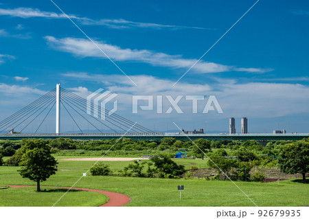 夏の淀川河川公園鳥飼上地区風景 92679935
