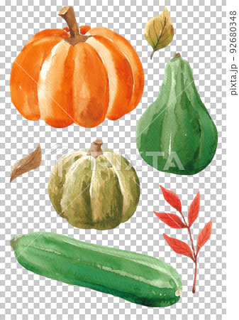 南瓜水彩 92680348