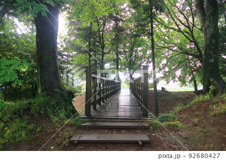 逆井城の景観 逆井城の景観 92680427