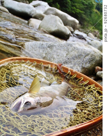 渓流のヤマメ 92680732