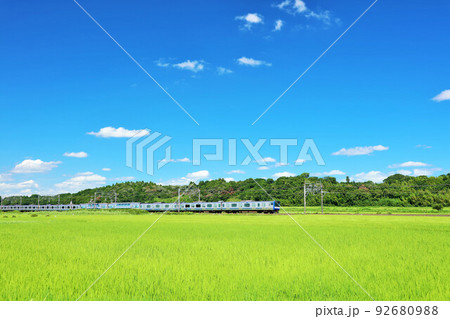千葉県　青空の田んぼを走る快速電車 92680988