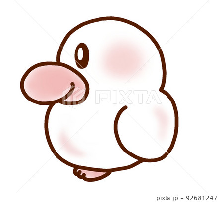 鳥のかわいい動物イラスト（白文鳥） 92681247