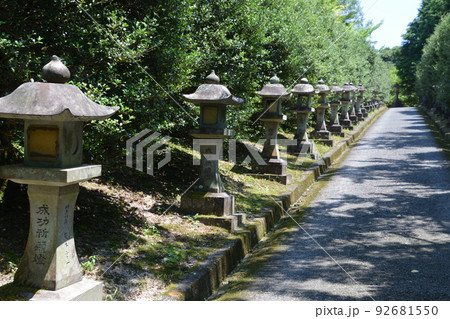 蓮華院誕生寺奥の院・真宝道 92681550