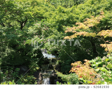 東京都港区赤坂の檜町公園の風景 東京都港区赤坂の檜町公園の風景 92681930