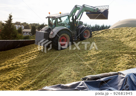 Production of fodder in agricultural complex 92681945
