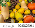 ハロウィンのカボチャ 92682391