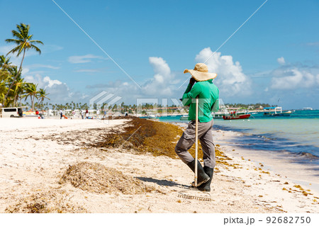 Dominican Republic Bavaro Punta cana provinces La Altagracia. Seaweed on the beach. Algae sargassum. Caribbean ecological problem. Dominican Republic Bavaro Punta cana provinces La Altagracia. Seaweed on the beach. Algae sargassum. Caribbean ecological problem. 92682750