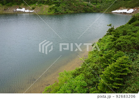 夏の八幡平はお花畑 ガマ沼 夏の八幡平はお花畑 ガマ沼 92683206