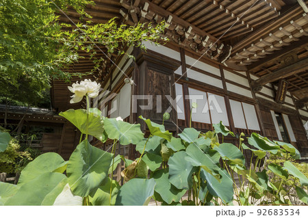 深大寺 新緑 浮岳山昌楽院 厄除元三大師 深大寺 新緑 浮岳山昌楽院 厄除元三大師 92683534