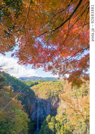 福貴野の滝の紅葉(大分県宇佐市) 福貴野の滝の紅葉(大分県宇佐市) 92683881