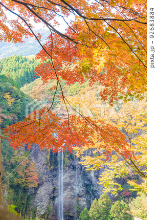 福貴野の滝の紅葉(大分県宇佐市) 福貴野の滝の紅葉(大分県宇佐市) 92683884