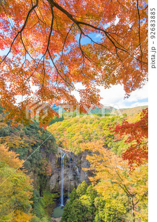 福貴野の滝の紅葉(大分県宇佐市) 福貴野の滝の紅葉(大分県宇佐市) 92683885