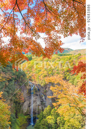 福貴野の滝の紅葉(大分県宇佐市) 福貴野の滝の紅葉(大分県宇佐市) 92683886