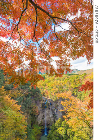 福貴野の滝の紅葉(大分県宇佐市) 福貴野の滝の紅葉(大分県宇佐市) 92683887