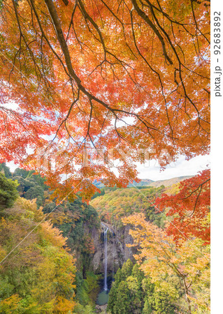福貴野の滝の紅葉（大分県宇佐市） 92683892