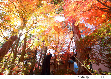 女性一人旅紅葉狩り風景 女性一人旅紅葉狩り風景 92684490