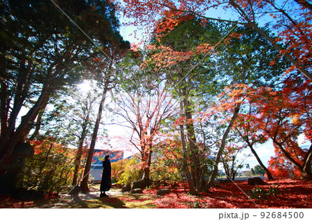 女性一人旅紅葉狩り風景 女性一人旅紅葉狩り風景 92684500