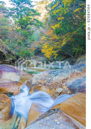 藤河内渓谷の紅葉（大分県佐伯市） 92684564